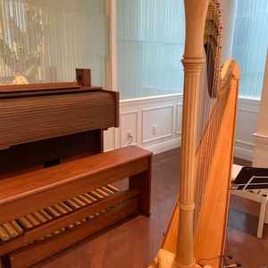 オプションなしで挙式に生演奏があるのが素敵です。追加料金だと無くしてしまいそうなので、既存な点が安心