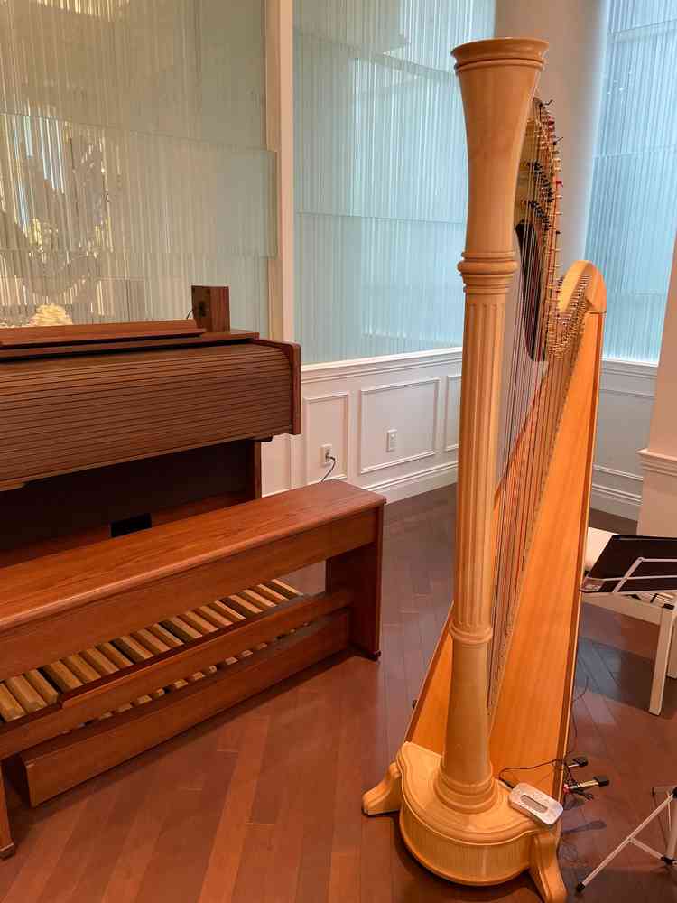 オプションなしで挙式に生演奏があるのが素敵です。追加料金だと無くしてしまいそうなので、既存な点が安心