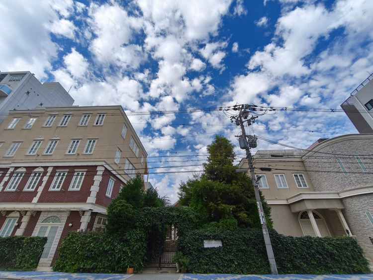 門が閉ざされて、外から知らない人が紛れ込む心配がない