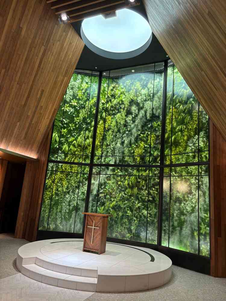 式場の背景にある緑はフェイクグリーンとなっており、年中この状態を保てる。