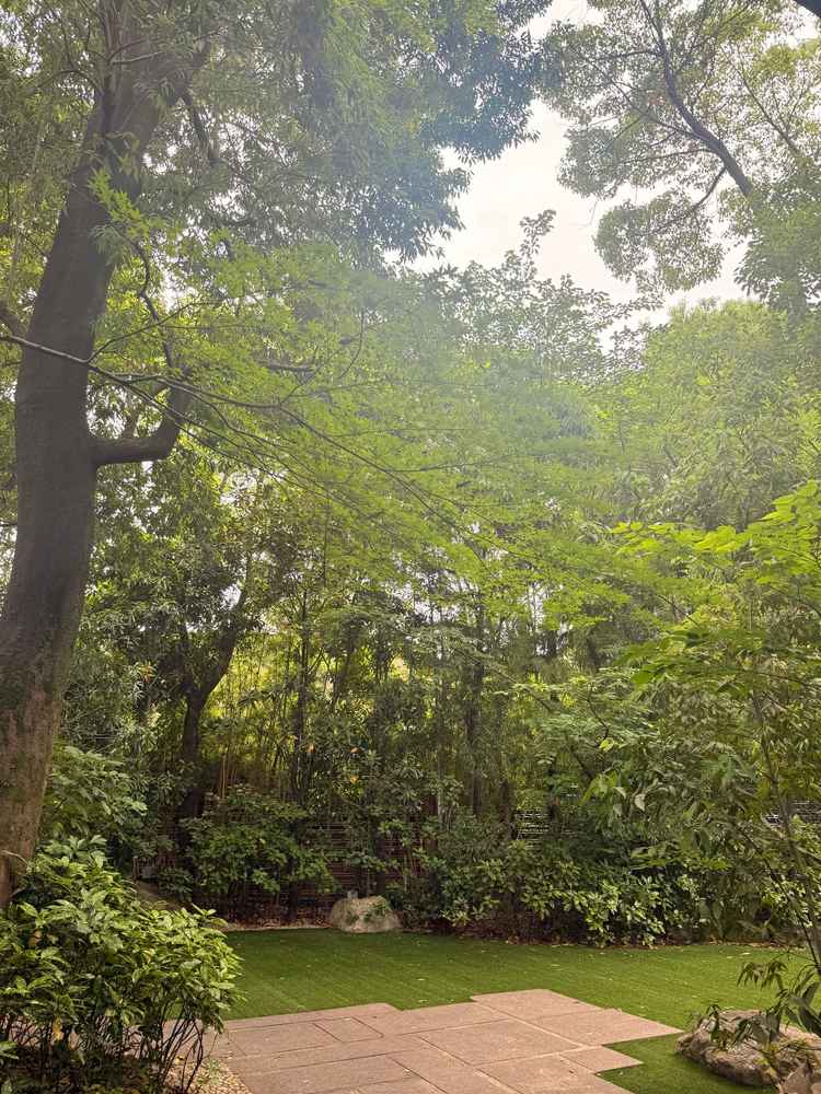 写真で見ていた以上に敷地にたくさんの緑があり、背の高い木も多く自然を感じられた。