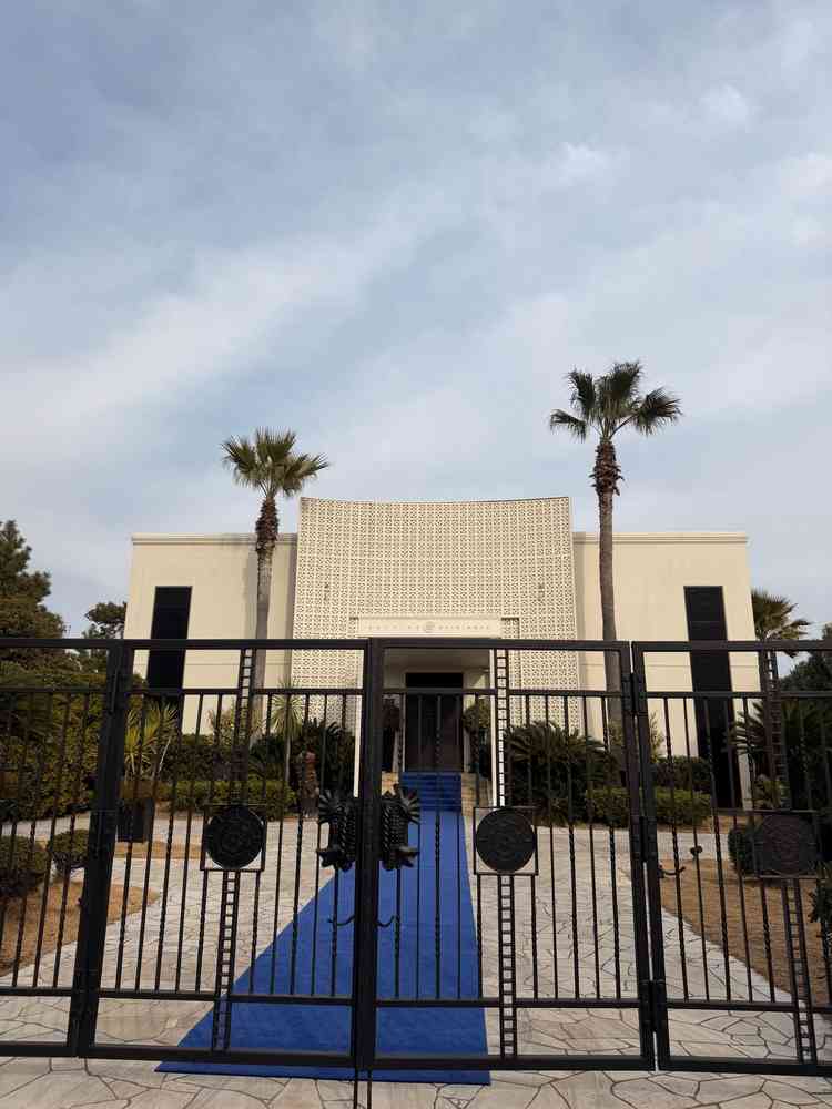 青い絨毯がドレスを引き立てる素敵な写真が撮れると感じた。