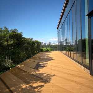 晴天時はここでフラワーシャワーをします。皇居が見えとても好きな雰囲気でした