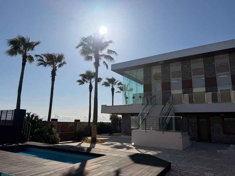 ヤシの木とプールで非日常感を感じられる