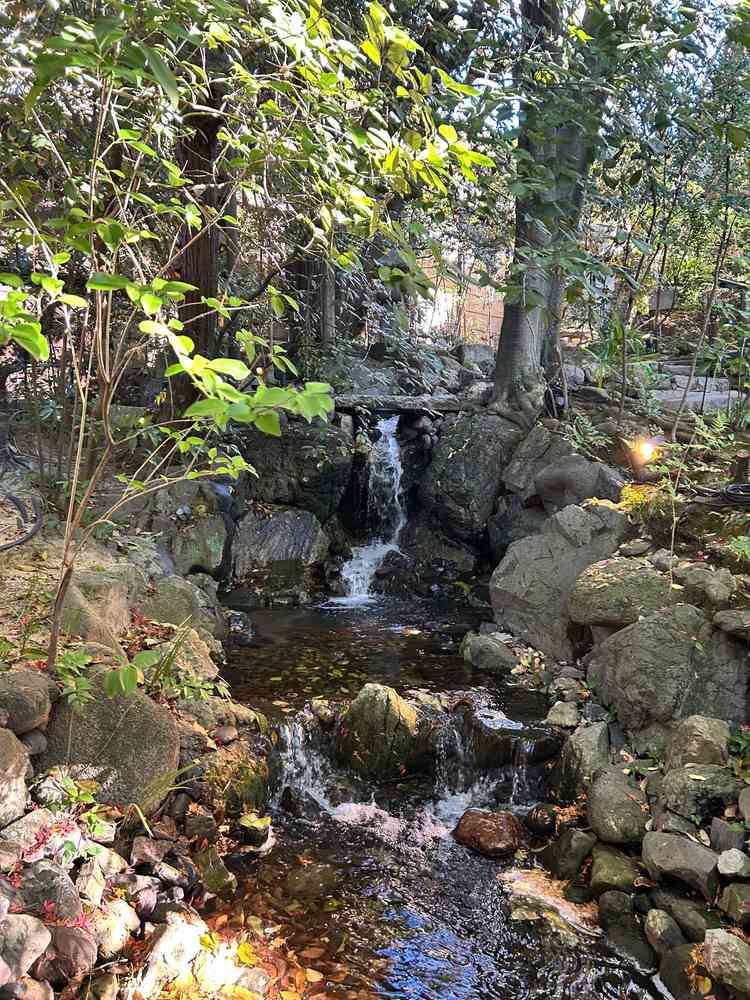式場内の庭園。非常にのどか