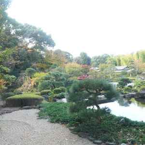 綺麗に手入れされた庭園。