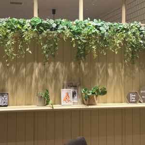 自分たちの思い描いているようなおしゃれな入り口でした。自然の緑も多く、とてもよかったです。