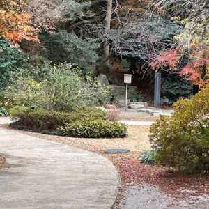 日本庭園が広がっておりとても素敵でした。四季折々の花や植物も式前に楽しめるようになっていました。