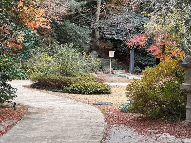 日本庭園が広がっておりとても素敵でした。四季折々の花や植物も式前に楽しめるようになっていました。