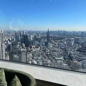 スカイツリー、富士山、東京の様々な観光スポットが一気に見れて、県外の人は特に驚きそう！