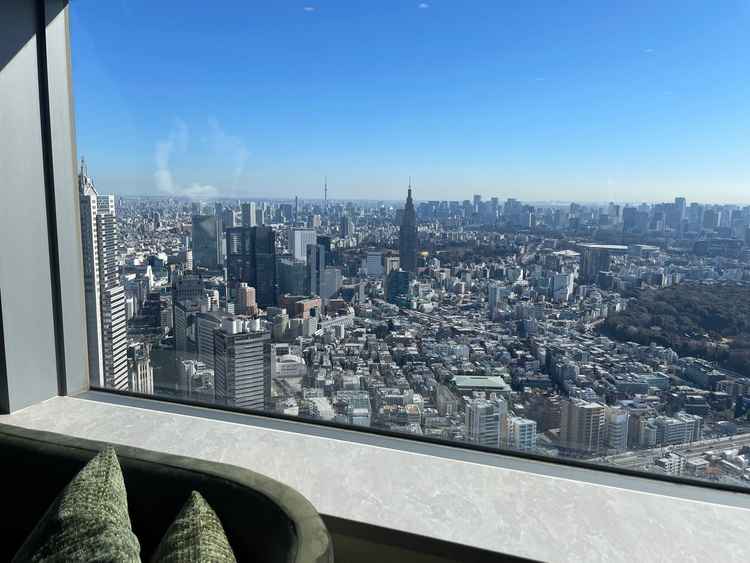 スカイツリー、富士山、東京の様々な観光スポットが一気に見れて、県外の人は特に驚きそう！