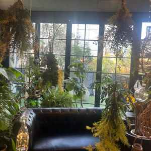 小さい会場から見える外のお庭です。