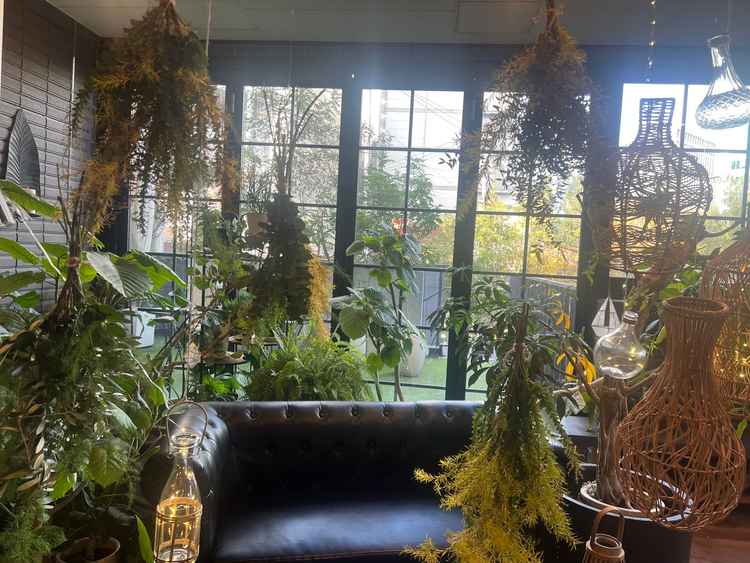 小さい会場から見える外のお庭です。