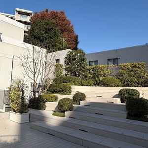 グリーンいっぱいのテラスが印象的だった。晴れた日には是非利用したいと思った。