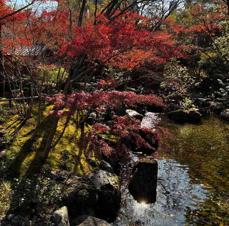 庭園。貸切状態なので、待ち時間に自由に散策することができる。