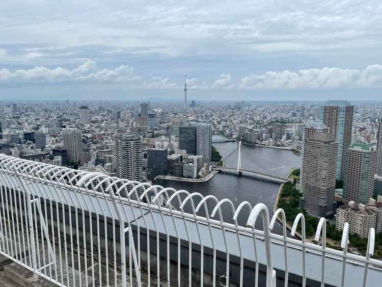 スカイツリーが見えます。