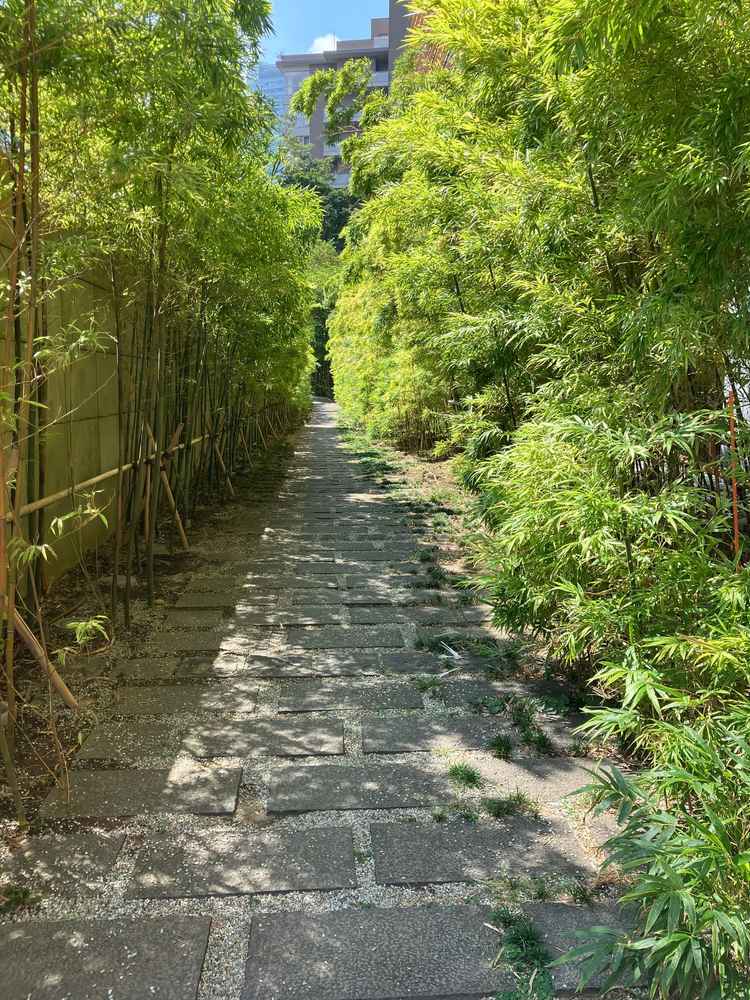 竹道です。雰囲気があり、ふたりで写真も撮ってもらえました。