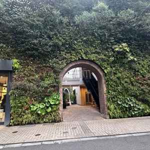 ユーザーが投稿した画像2をもっと見る