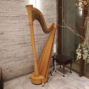 式場の備え付けのハープ。式で生演奏も可能だそう。ぜひ演奏をお願いしたい。