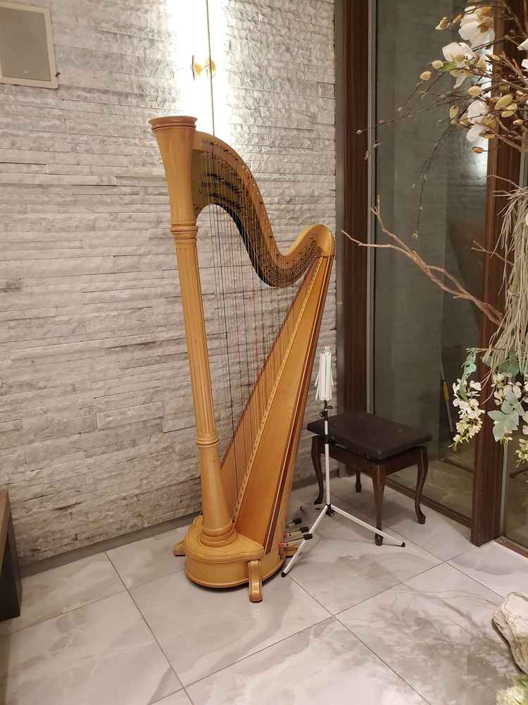 式場の備え付けのハープ。式で生演奏も可能だそう。ぜひ演奏をお願いしたい。