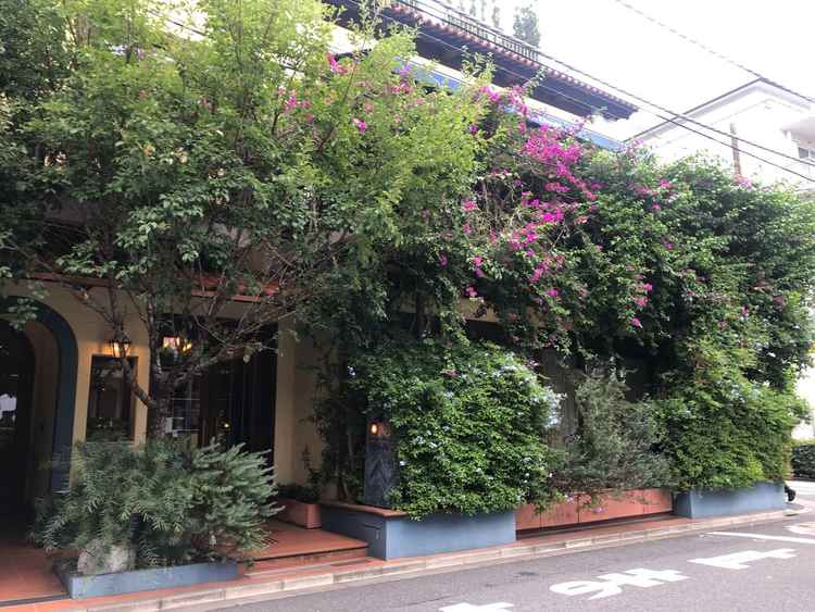 披露宴会場となるレストランの雰囲気が緑がたくさんで好みだった。