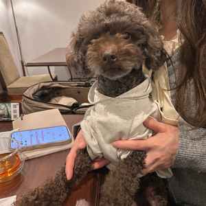 見学でもわんちゃんを連れていくことができ、一緒に居られるところがすごく嬉しかったです。