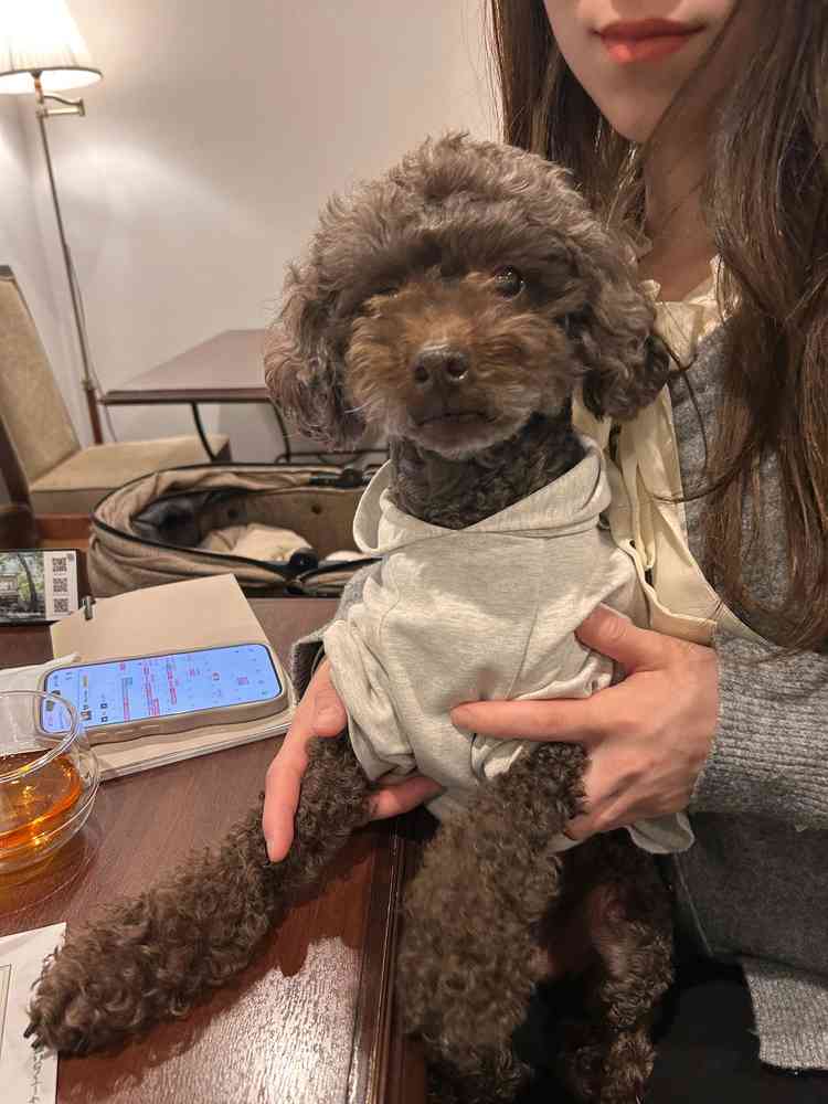 見学でもわんちゃんを連れていくことができ、一緒に居られるところがすごく嬉しかったです。