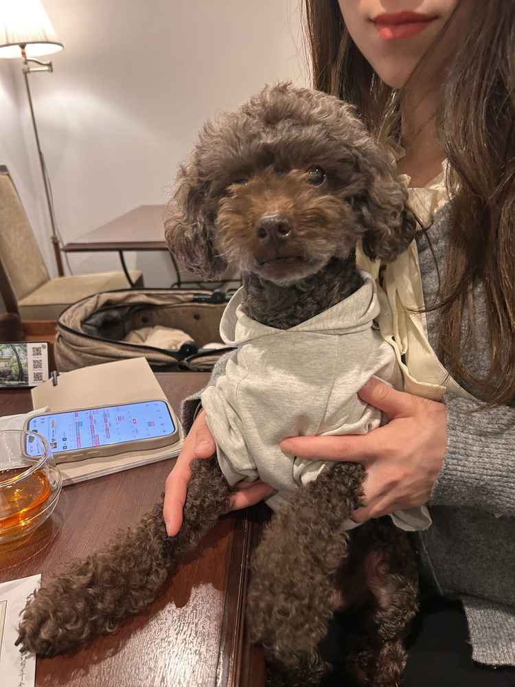 見学でもわんちゃんを連れていくことができ、一緒に居られるところがすごく嬉しかったです。