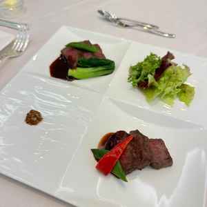 お肉を２種類食べ比べできるがどちらも柔らかく、ソースのお味も上品で良かった。