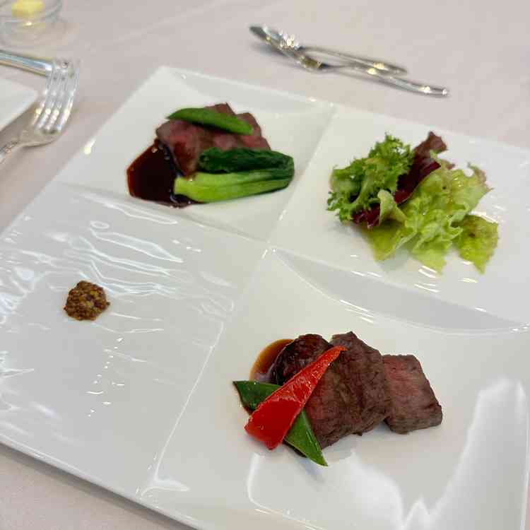 お肉を２種類食べ比べできるがどちらも柔らかく、ソースのお味も上品で良かった。