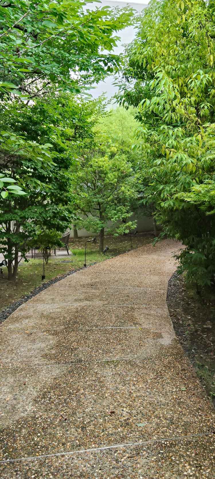 庭は美しく整えられ、秋には紅葉も見られるとのこと。