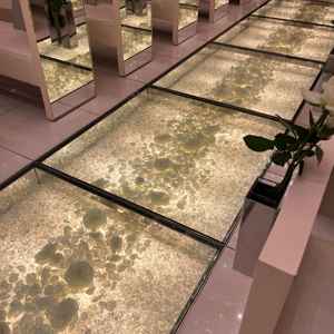 新婦が入場して歩いてくるバージンロード