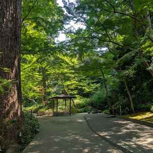 庭園