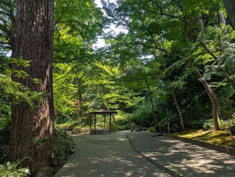 庭園