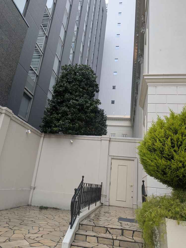 庭には大きな木があり、イルミネーションが施されていた。