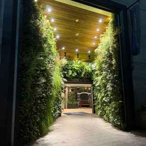 入り口の高さと緑の感じが期待感を増させてくれます。