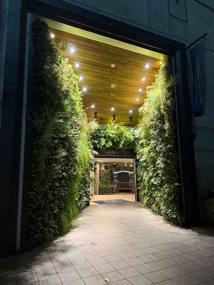 入り口の高さと緑の感じが期待感を増させてくれます。