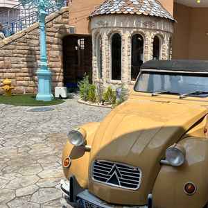 ガーデンにあるおしゃれな車