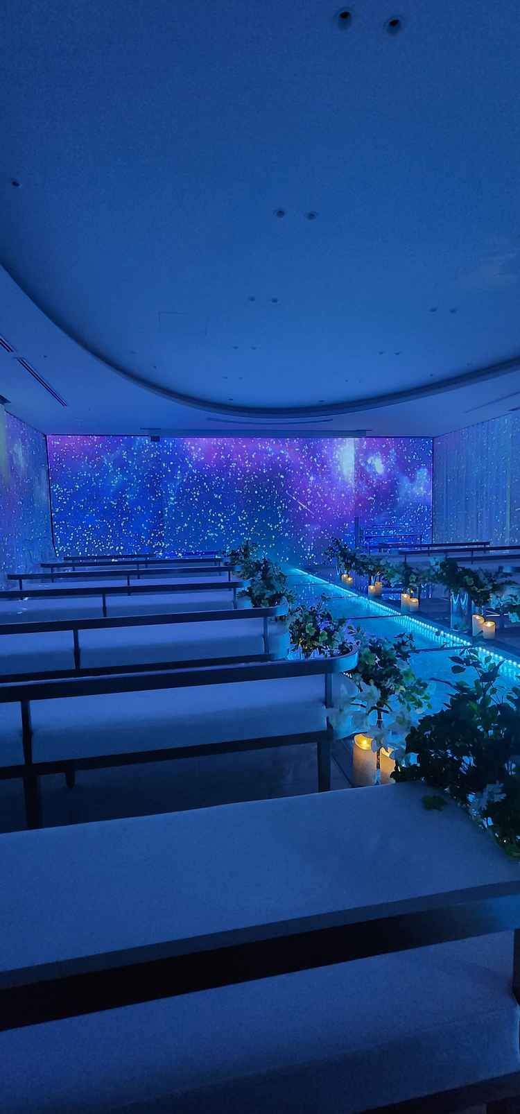 プロジェクションマッピングがあり、チャペルの雰囲気が一気に変わるのが凄かったです。