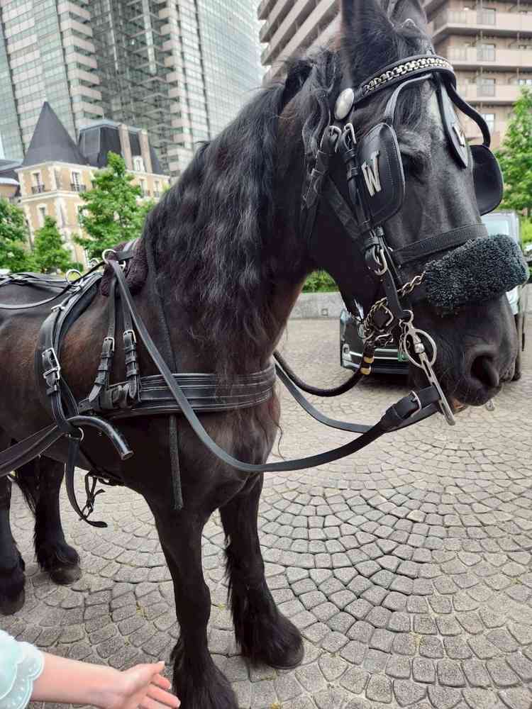 ユーザーが投稿した画像3