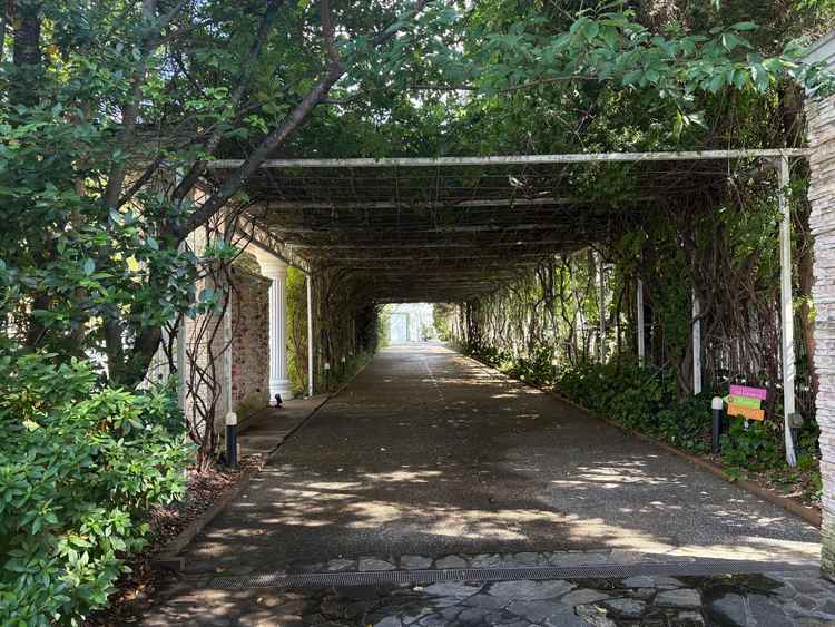 駐車場からチャペル、披露宴会場に向かうまでの道です。