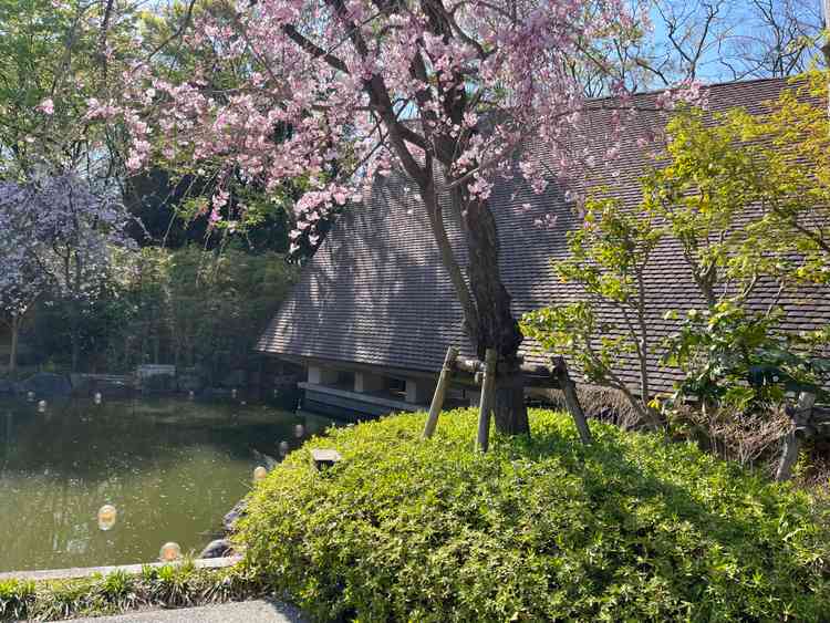 ユーザーが投稿した画像3