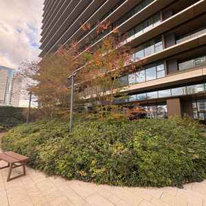 外のガーデンの利用もでき、ホテルの前泊、後泊もついているため自由なタイミングで写真撮影も可能