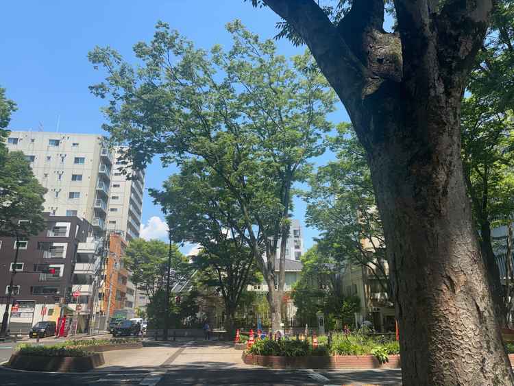道路側から見た外観
