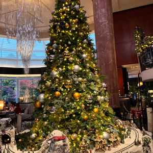 クリスマスツリーがお出迎え