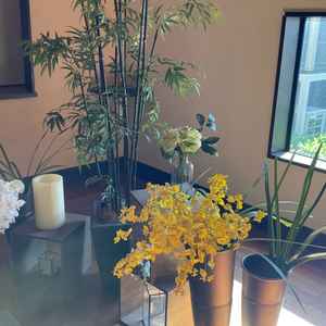 料理食べるとこの入口