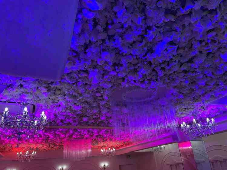 ユーザーが投稿した画像4