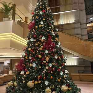 11月中ばからはロビーや各所にクリスマスアイテムが置かれていてシーズン感もあり良かったです。