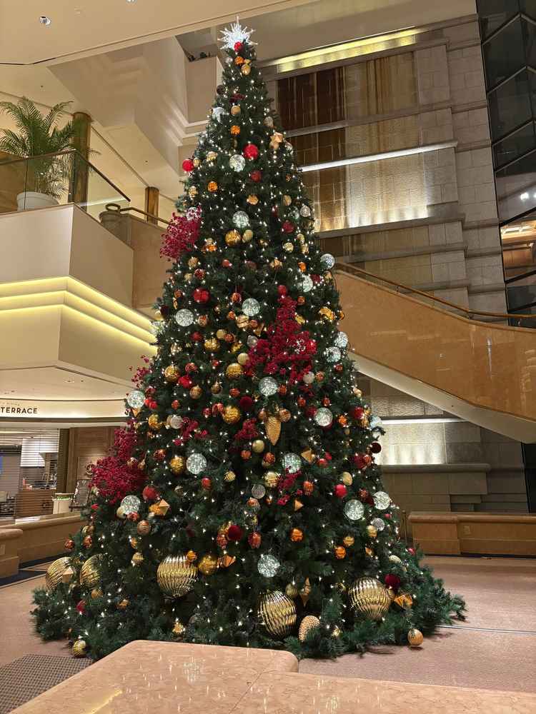 11月中ばからはロビーや各所にクリスマスアイテムが置かれていてシーズン感もあり良かったです。
