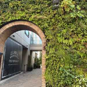 会場のいちばん手前にある入り口。草の生えた壁が雰囲気があって、わくわくします。